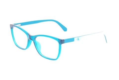Designerbrillen Calvin Klein CKJ22304 N 432