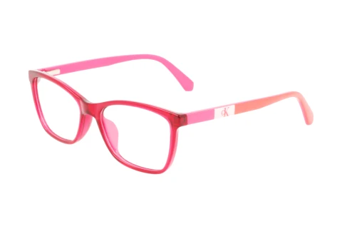 Designerbrillen Calvin Klein CKJ22304 N 679