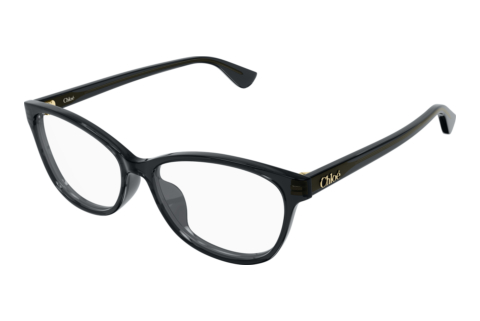 Designerbrillen Chloé CH0394OL 001