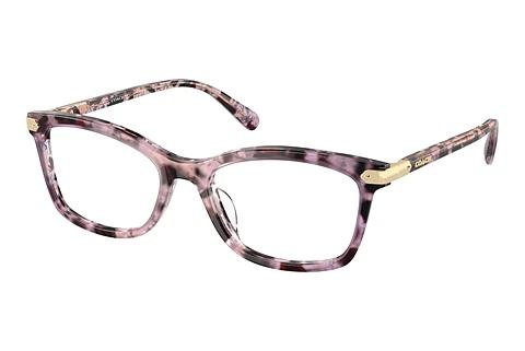 Designerbrillen Coach HC6219U 5777