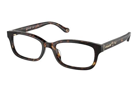 Designerbrillen Coach HC6233U 5120