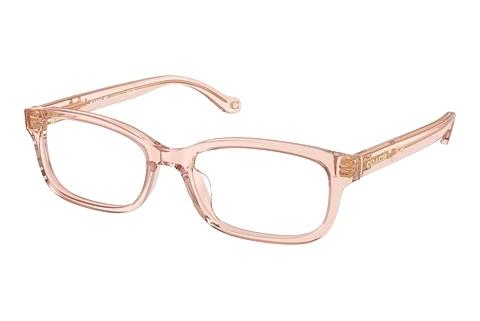 Designerbrillen Coach HC6233U 5668