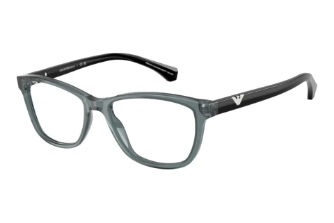 Designerbrillen Emporio Armani EA3099 6364