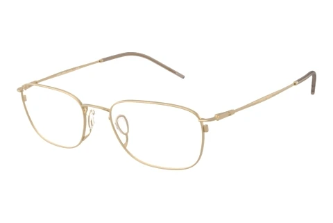 Designerbrillen Giorgio Armani AR5171 3002