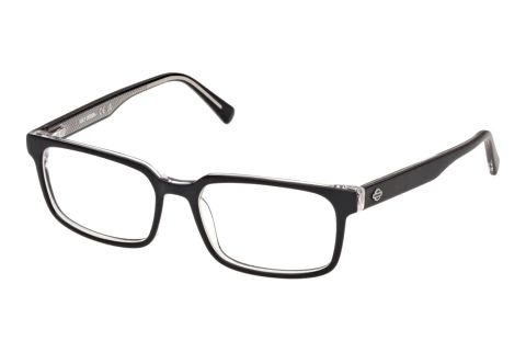 Occhiali design Harley-Davidson HD50156 003