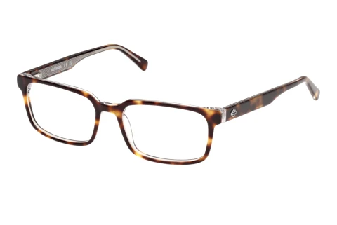Occhiali design Harley-Davidson HD50156 052