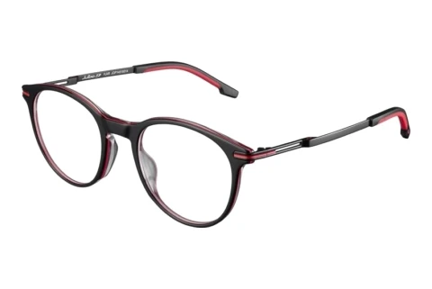 Designerbrillen Julbo FLAIR 14_JOP1451