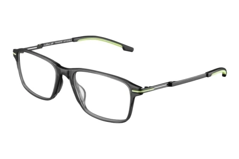 Designerbrillen Julbo TRANSFER 14_JOP1453