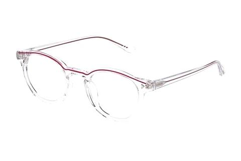 Designerbrillen Lozza VL4293 0P79