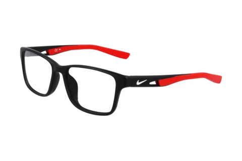 Designerbrillen Nike NIKE 5038 N 006