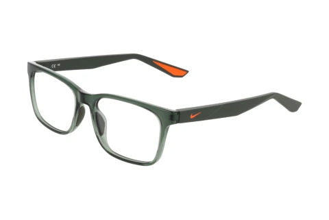 Designerbrillen Nike NIKE 7415 302