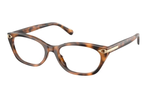 Designerbrillen Ralph Lauren RL6268U 6089