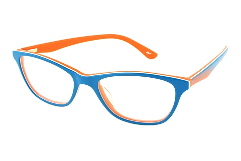 Designerbrillen Reebok R6013 TEL