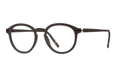 Designerbrillen Silhouette Vibrant Horizon (2976 6040)