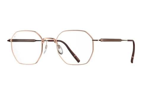 Designerbrillen Silhouette Pure Visionary (5588 3530)