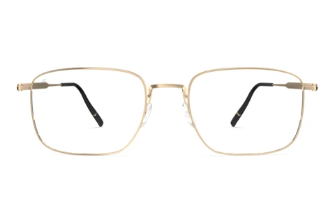 Designerbrillen Silhouette Pure Visionary (5591 7632)