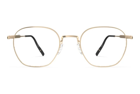 Designerbrillen Silhouette Pure Visionary (5592 7631)