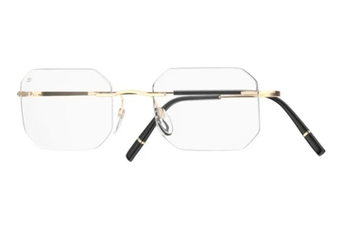 Designerbrillen Silhouette Titan Minimal Art Stellar (5599-QL 7530)