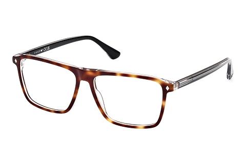 Lunettes de vue Web Eyewear WE5442 056