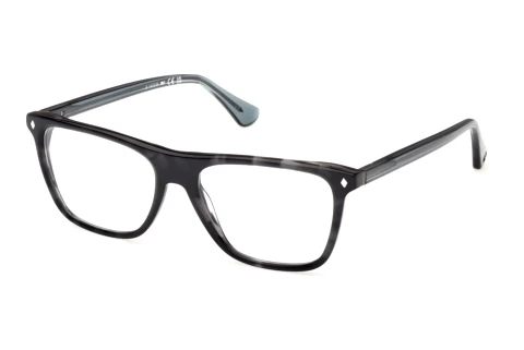 Occhiali design Web Eyewear WE5475 056
