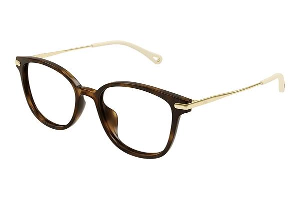 Designerbrillen Chloé CH0219OA 002