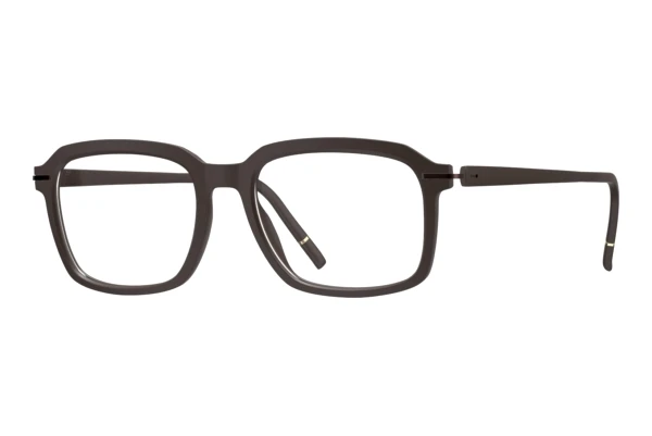 Designerbrillen Silhouette Vibrant Horizon (2975 6040)