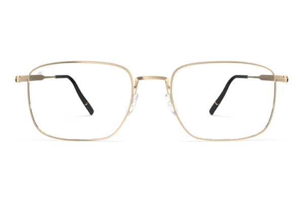 Designerbrillen Silhouette Pure Visionary (5591 7632)