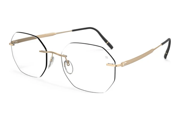 Designerbrillen Silhouette The Timeless Visionary (5603-GH 7530)