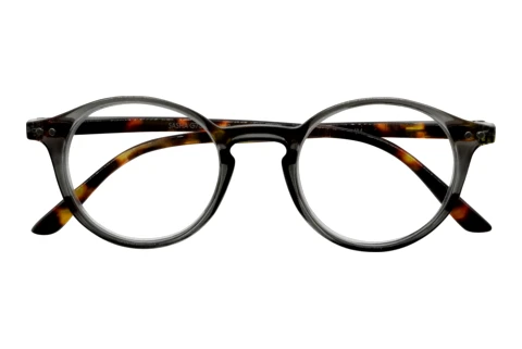  I NEED YOU SASHA G73900 grau havanna D2.00