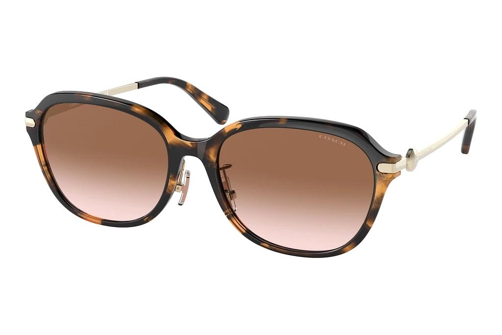 Coach   HC8332D 512013 Brown GradientDark Tortoise