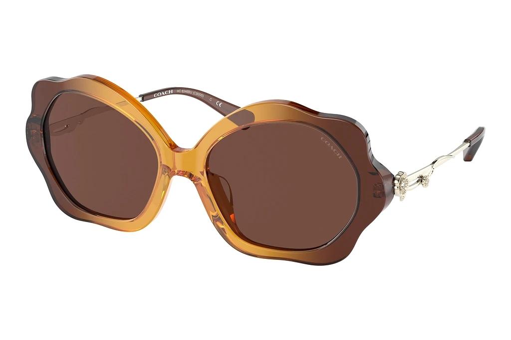 Coach   HC8346BU 57016G Smoke SolidGradient Transparent Amber