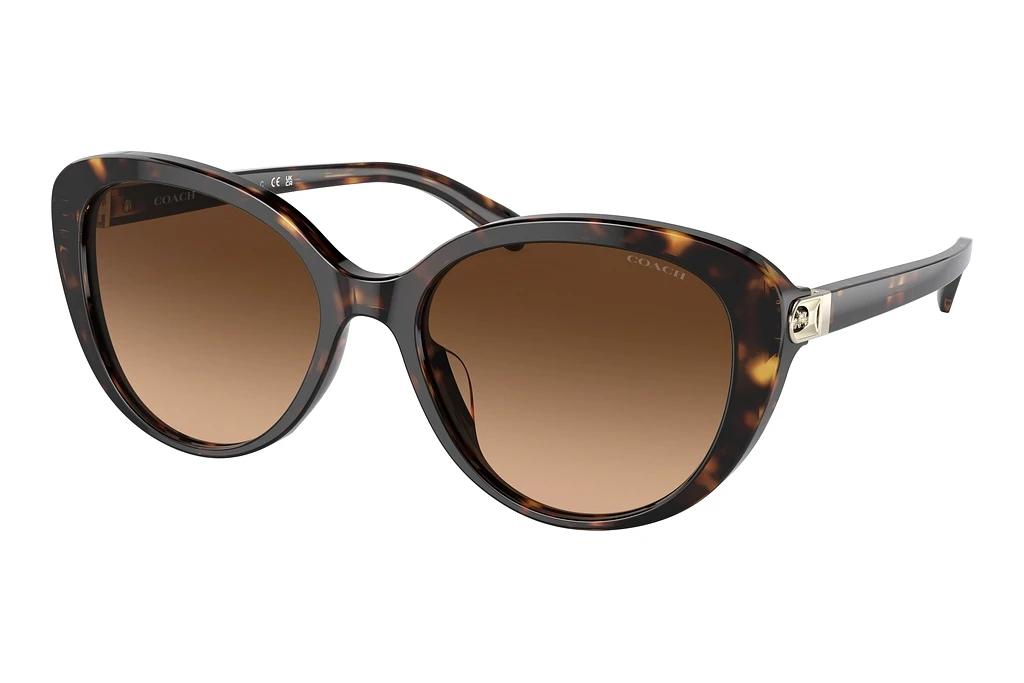 Coach   HC8348U 512074 Brown GradientDark Tortoise