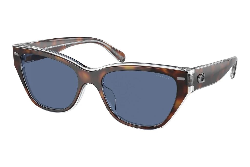 Coach   HC8370U 574280 Blue SolidTortoise/Transparent Beige