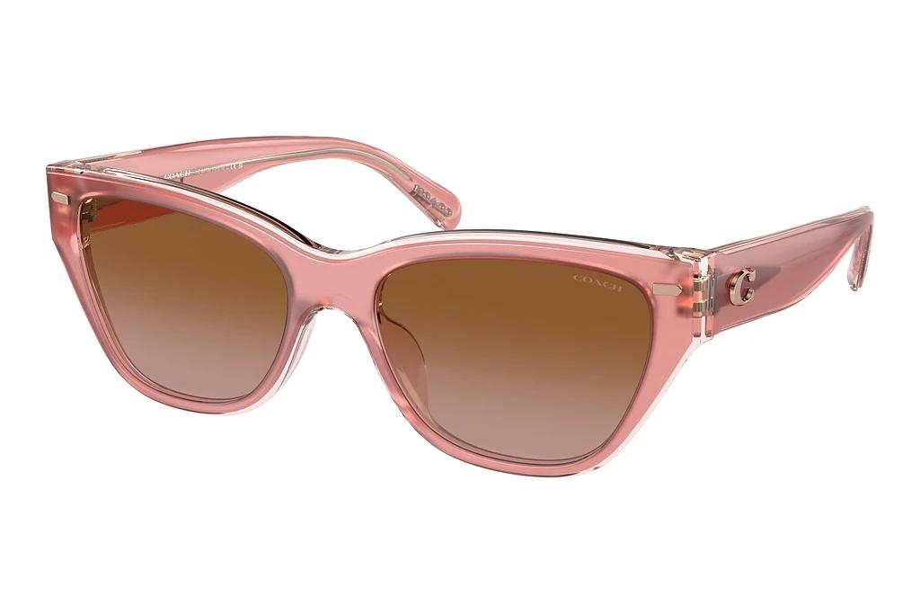 Coach   HC8370U 574313 Brown GradientMilky Pink/Transparent Pink