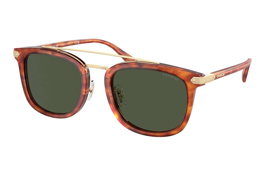 Coach   HC8382 577482 Army GreenCaramel Tortoise