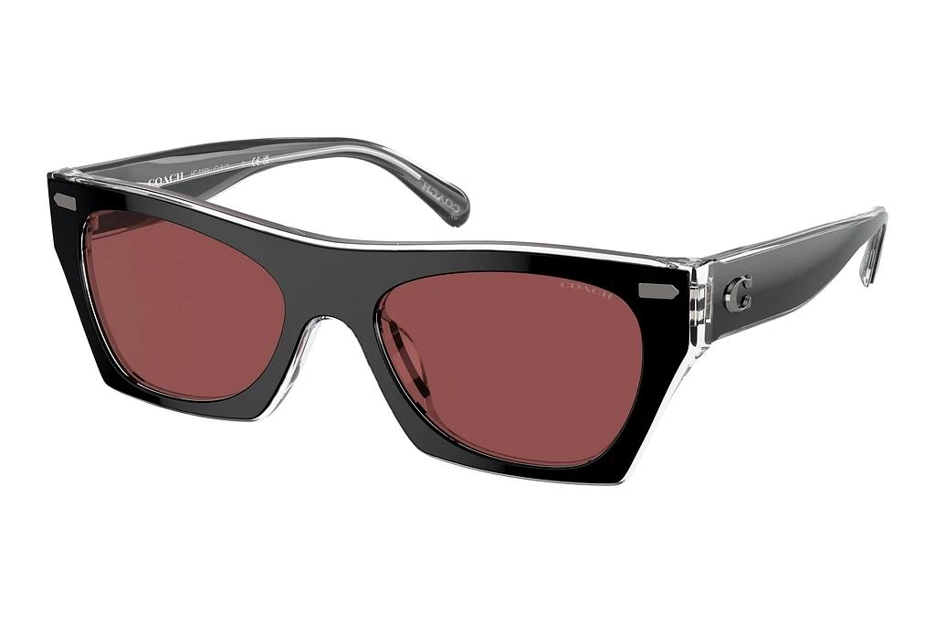 Coach   HC8389U 572875 VioletBlack/Clear