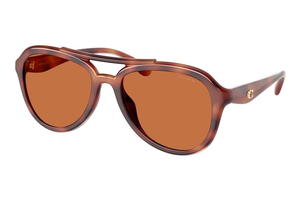 Coach   HC8406U 577473 Brown SolidCaramel Tortoise