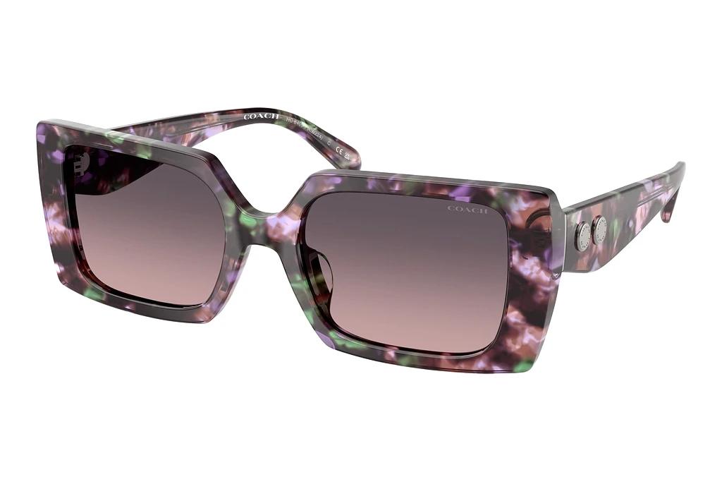 Coach   HC8409U 584346 Smoke Purple GradientAmethyst Pearl Tortoise