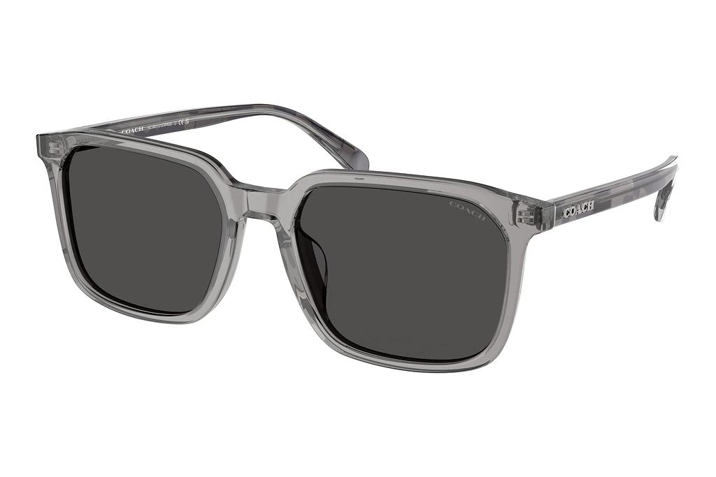 Coach   HC8411U 584987 Grey SolidTransparent Grey