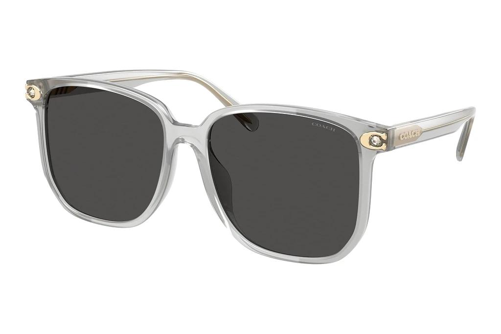 Coach   HC8413BD 561487 Grey SolidTransparent Dove