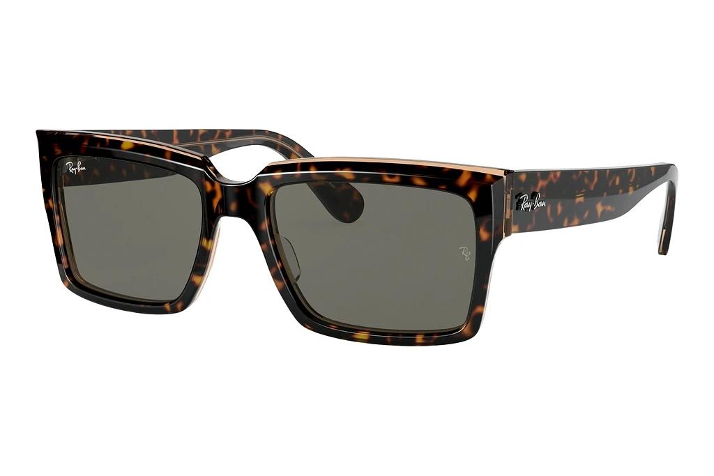 Ray-Ban   RB2191 1292B1 Dark GreyHavana On Transparent Brown