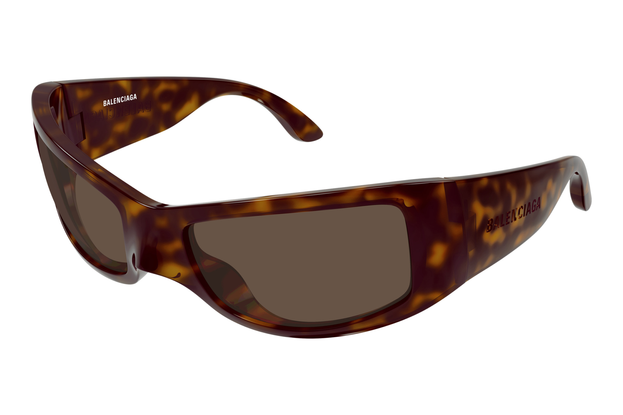 Balenciaga   BB0461S 003 HAVANA