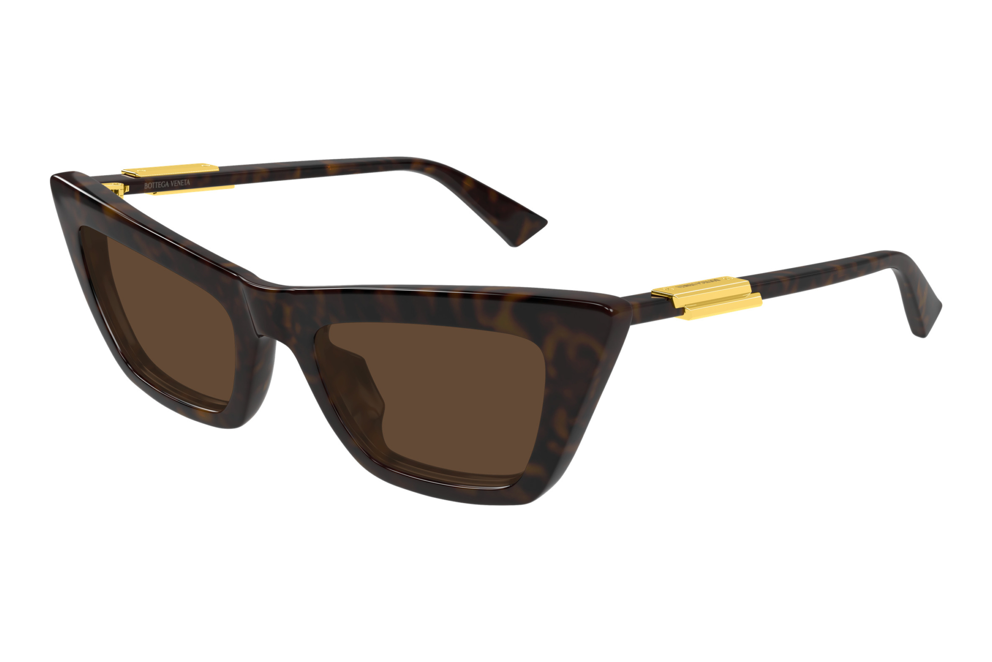 Bottega Veneta   BV1446S 002 HAVANA