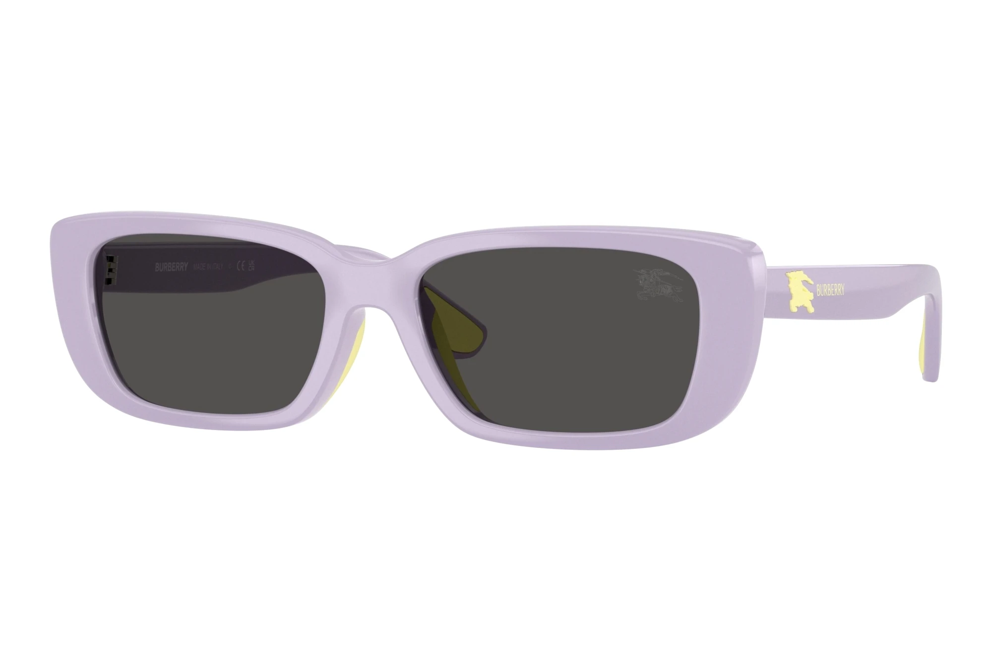 Burberry   JB4006U 422887 Dark GreyLilac