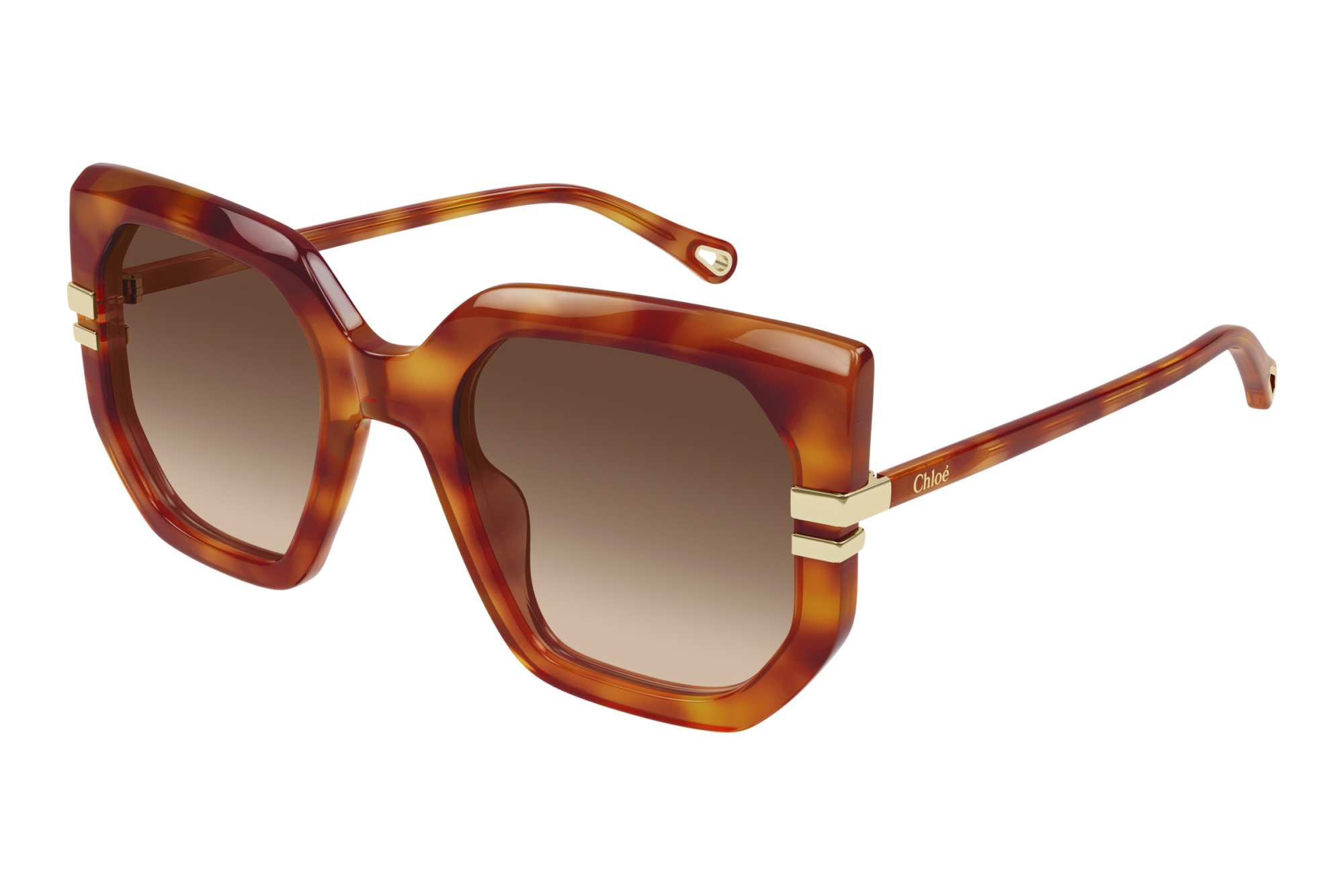 Chloé   CH0240S 007 HAVANA
