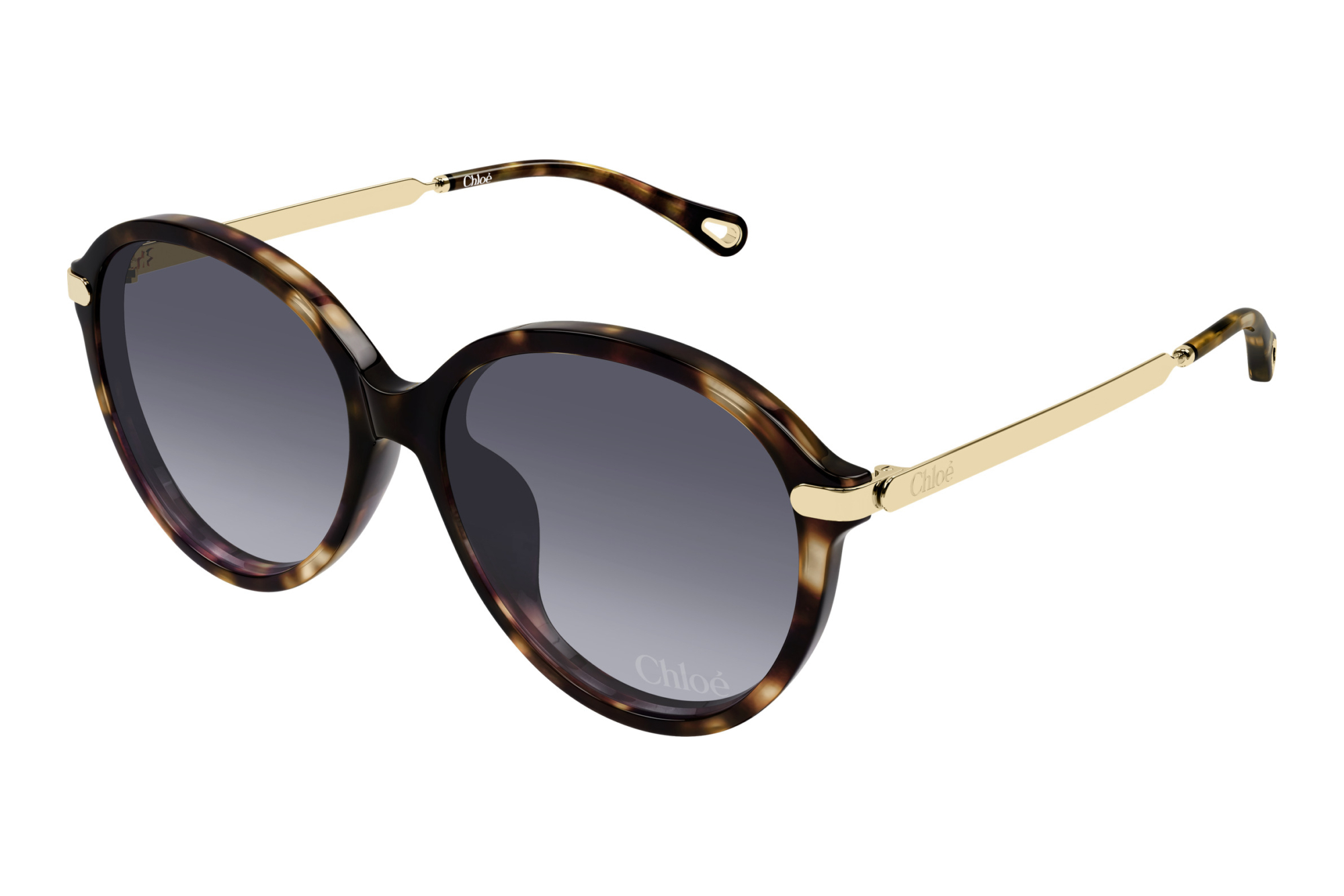 Chloé   CH0358SK 002 HAVANA