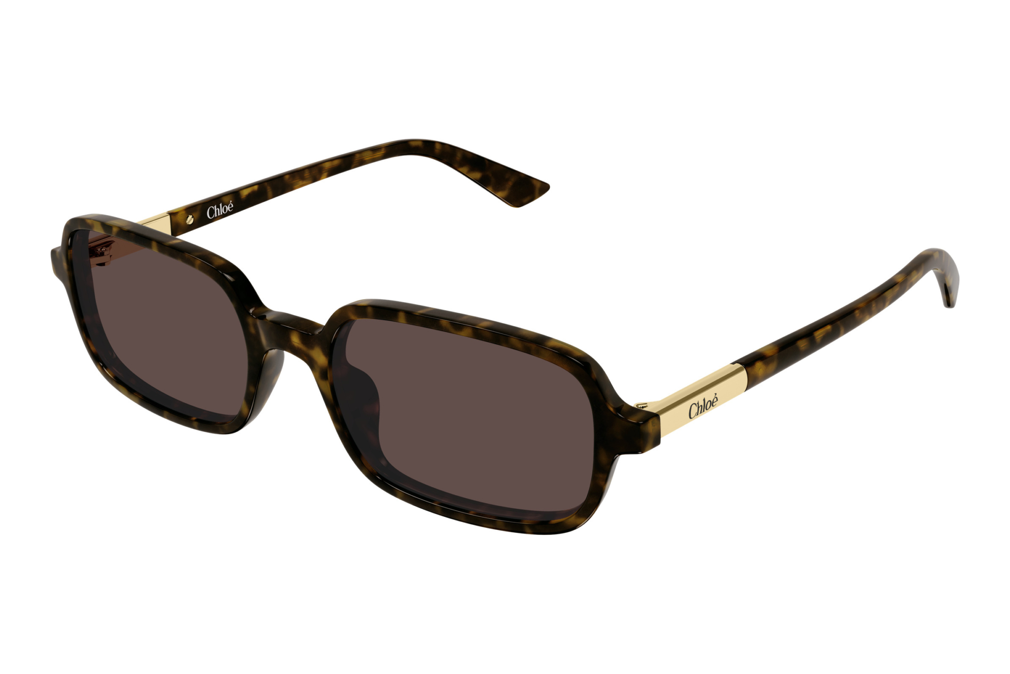Chloé   CH0363S 002 HAVANA