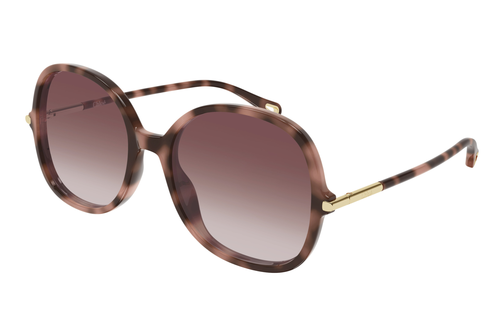 Chloé   CH0383S 004 HAVANA