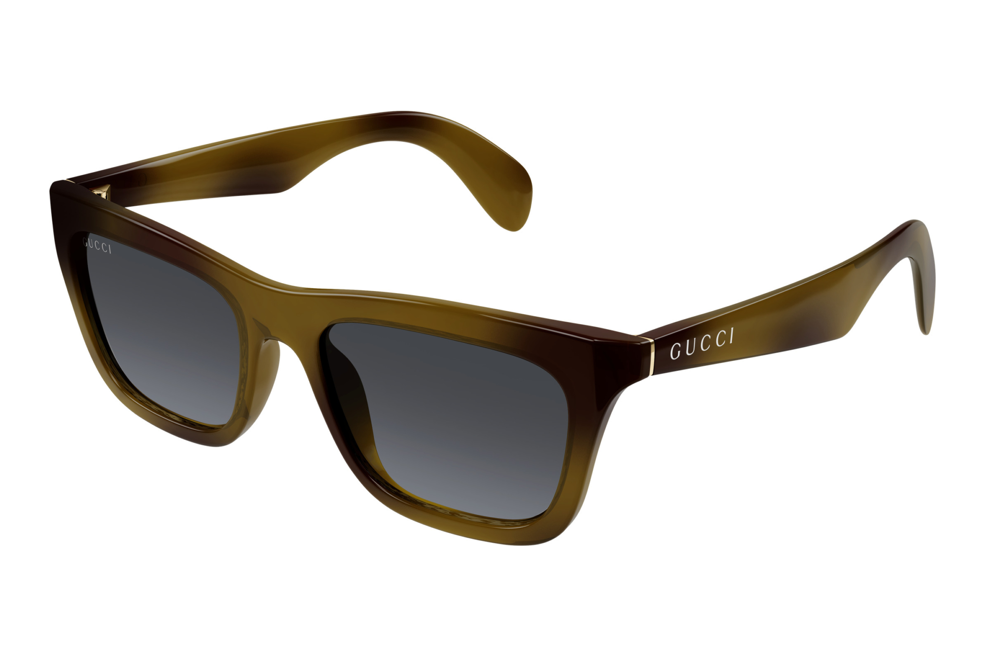 Gucci   GG1933S 003 HAVANA