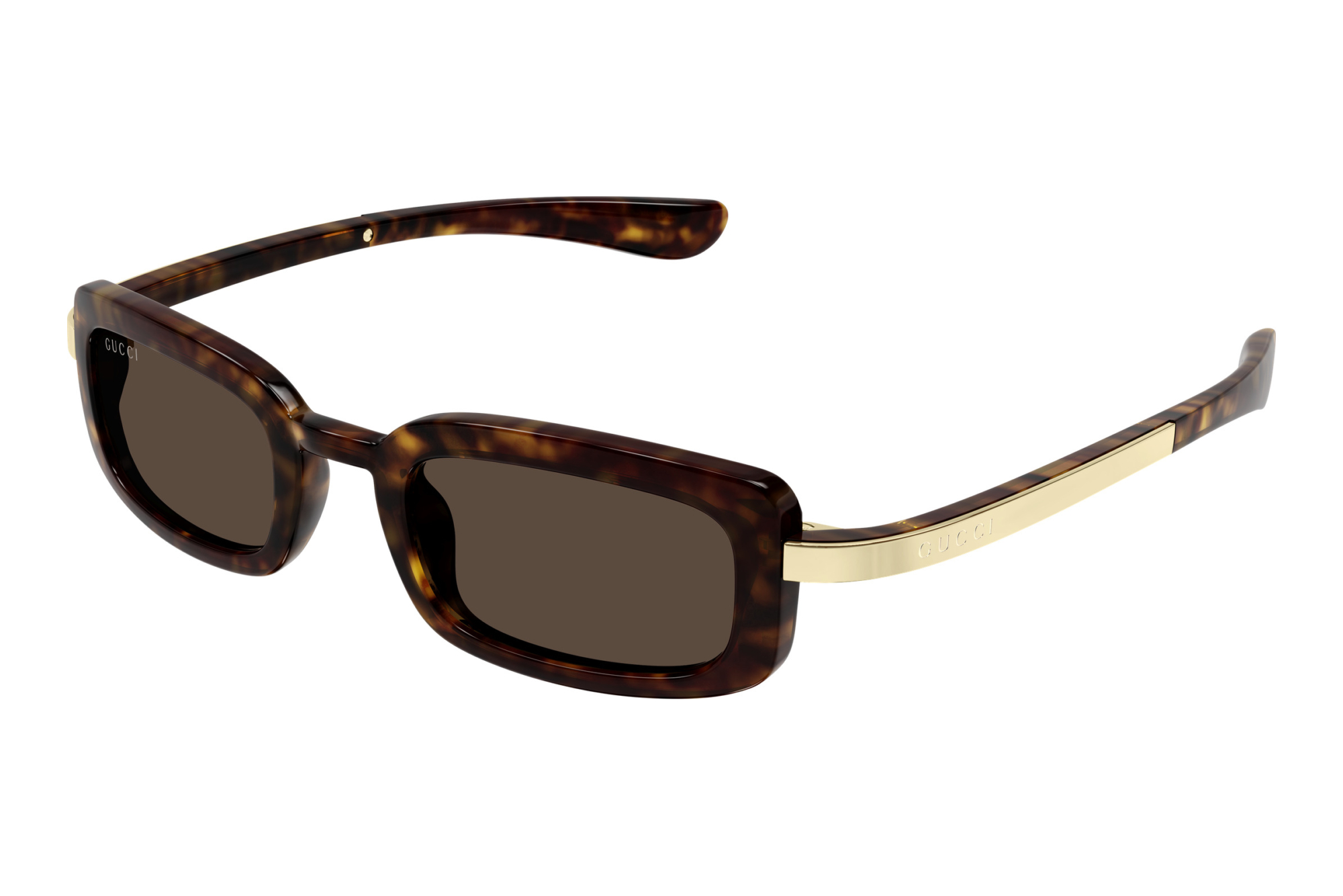 Gucci   GG1943S 002 HAVANA